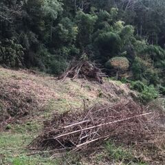 上野原市。不定期ですが断続的、継続的に古家と敷地で作業のお手伝いを戴ける方を求めています。の画像