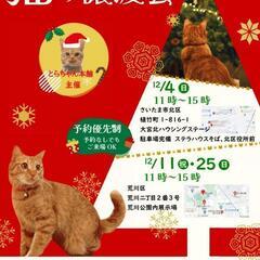 💞『とらちゃん本舗保護猫譲渡会💞大宮