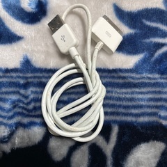 充電器　使えるかは不明