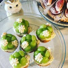 ★野菜料理のランチ会 ★ヘルシーケーキがインスタ大人気の京都・宇治のカフェで♪ - メンバー募集