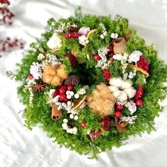 クリスマスリース お正月リース 杉リースdaj