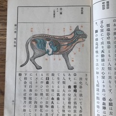 【希少】明治三十六年　近世動物学教科書　理学博士　丘浅次郎　著【大阪府立岸和田中学校】の画像