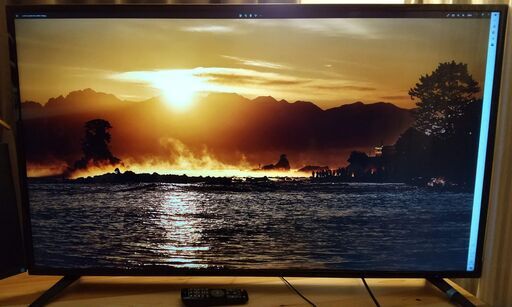 OD4K-49B1 49インチ 4K 液晶モニタ 非光沢 フリッカーフリー 直接お渡しのみ