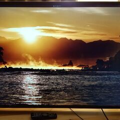 OD4K-49B1 49インチ 4K 液晶モニタ 非光沢 フリッ...