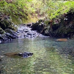 予定日12月18日(日) のんびり山登り　摩耶山　⭐︎初心者や登...