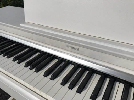 ヤマハ　YDP-163WH アリウス(送料無料)