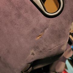 レカロ SR-3二脚 RECARO セミバケの画像