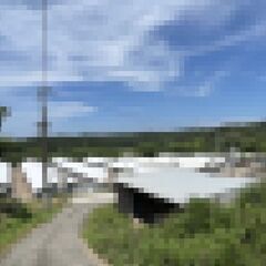 設備・建物付き売土地★養鶏場そのまま継承できます！特殊肥料も作れるSDGsにも!!ビジネスチャンス!! - 南あわじ市
