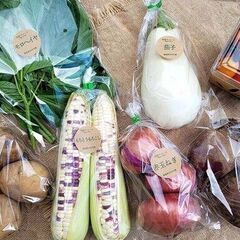 【時給1100円！】 有機野菜の出荷作業員募集！（室内で袋詰め、箱詰めなど）の画像