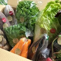 【時給1100円！】 有機野菜の出荷作業員募集！（室内で袋詰め、箱詰めなど）の画像