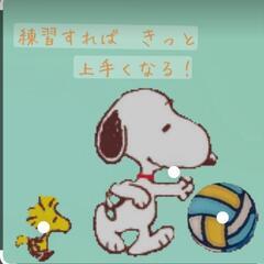 和泉市で混合バレー🏐