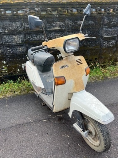 ベルーガ80 不動