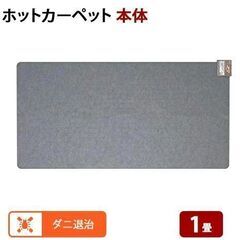 【完売しました！】ホットカーペット MC-10C 176×88c...