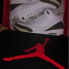 【本日限定】NIKE Air Jordan 3 retro モカ
