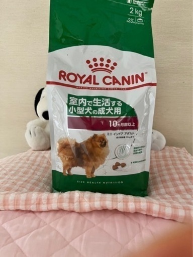 新品未開封　ロイヤルカナン
