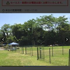 犬を飼ってる方にお願いです。 - 上益城郡