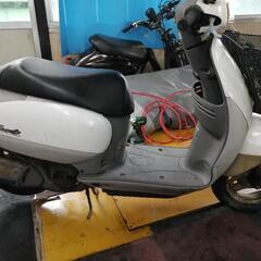 🌿AF51 タクト❗🌿