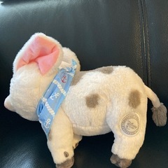 かわいいブタさん