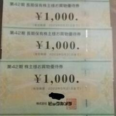 ビックカメラ株主優待券3000円分