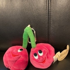 グラディーチェリーポーチ🍒