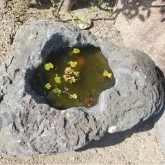 溜まり石
