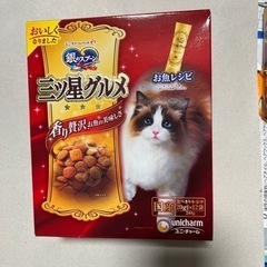 猫の餌　銀のスプーン三ツ星グルメ　2箱　国産