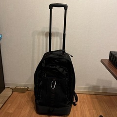 バックパック/キャリーバックの画像