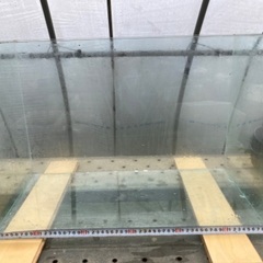 【水槽】ガラス製600mm水槽