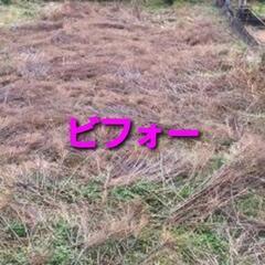 庭に瓦チップ施工
