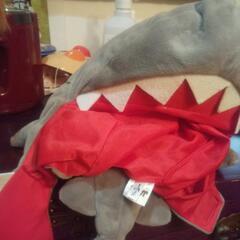 ジョーズ かぶりものの画像