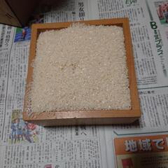令和4年産 ひのひかり