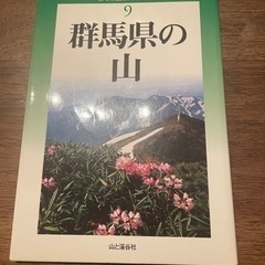 山と溪谷社　群馬県の山