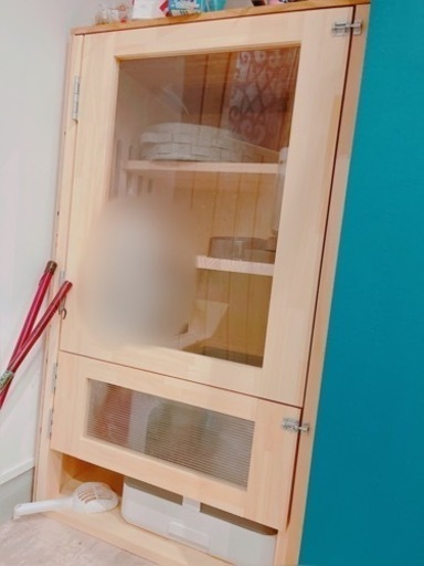 キャット ケージ