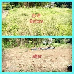 荒れた土地　伐採、除草、造成します - 便利屋