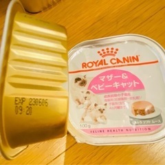 ロイヤルカナン　キトン　セットの画像