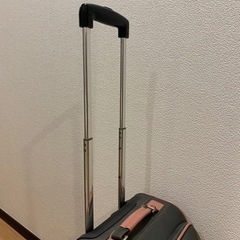 キャリーバッグの画像