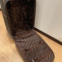 キャリーバッグの画像