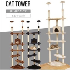 キャットタワー　差し上げます　9900円相当