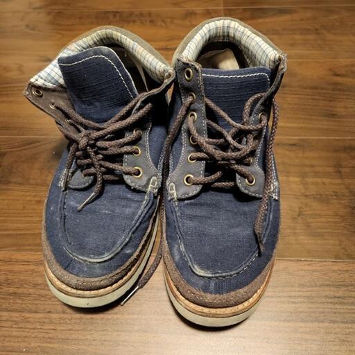 その他 VANS