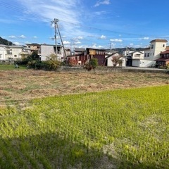 お助けグッチーズです