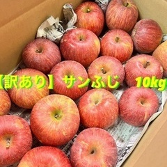 ③産地直売 サンふじりんご 家庭用 10kg