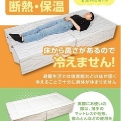 段ボール簡易ベッド（引き取り早い方優先）の画像
