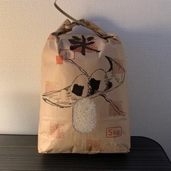 ゆうだい21おにぎり好きにオススメ2022年(令和4年)新米 産...