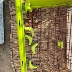 早いもの勝ちお値下げ　犬用ケージの画像