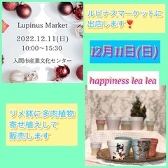 ルピナスマーケット12/11(日)に出店します❣️