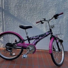 20インチ自転車