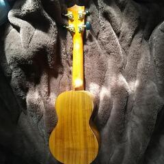 ウクレレ フェイマス FAMOUS FS-5G仕様 カバー付きの画像