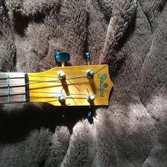 ウクレレ フェイマス FAMOUS FS-5G仕様 カバー付きの画像