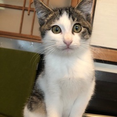 甘えんぼうの男の子です