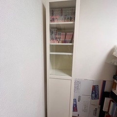IKEA BILLY本棚